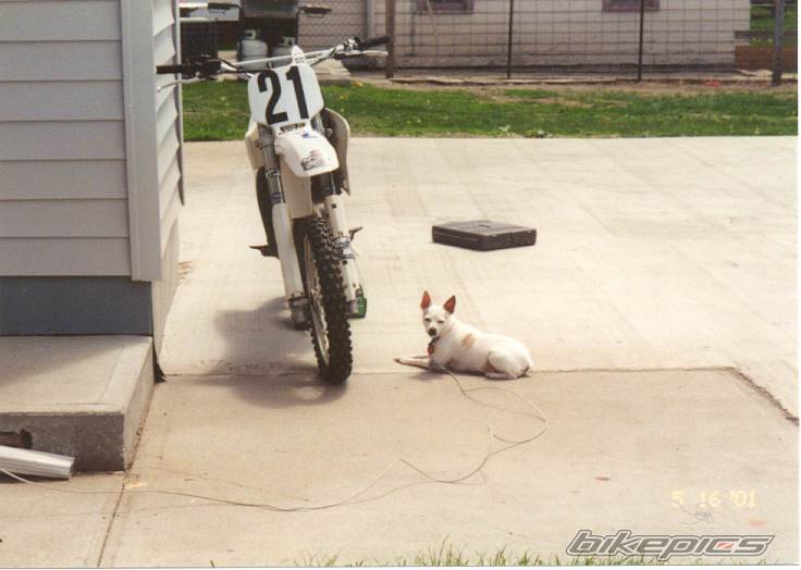 Bike Photo 6500