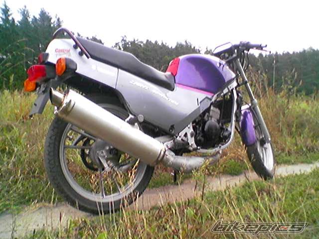 Photo 650051