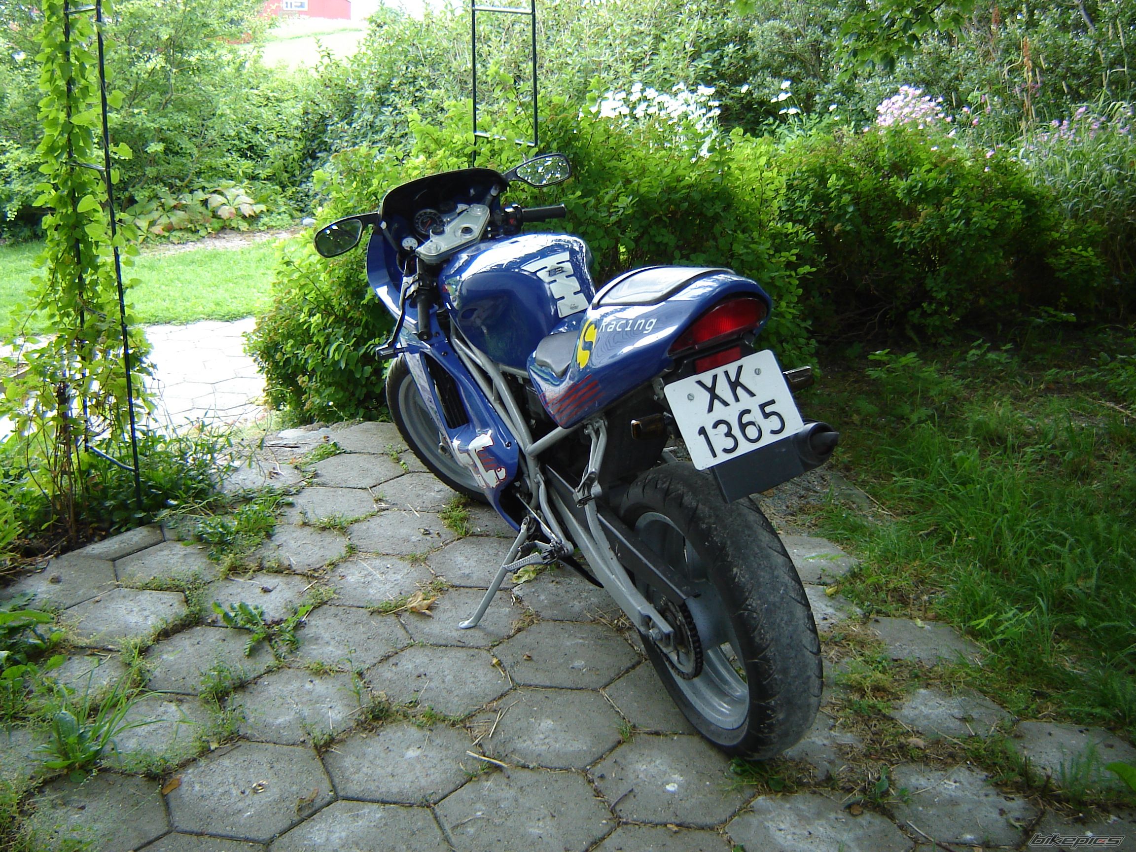 Photo 650069