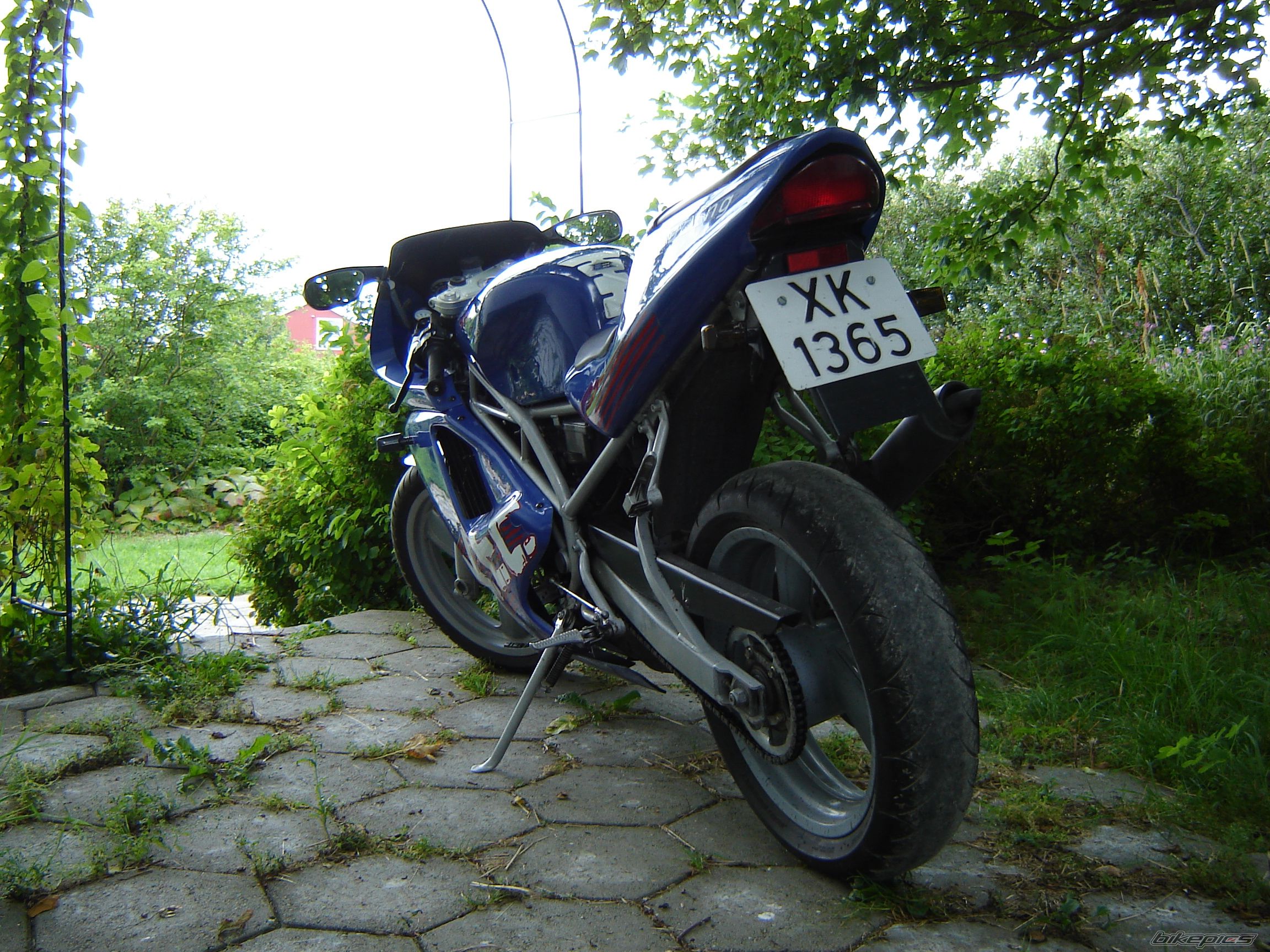 Photo 650071