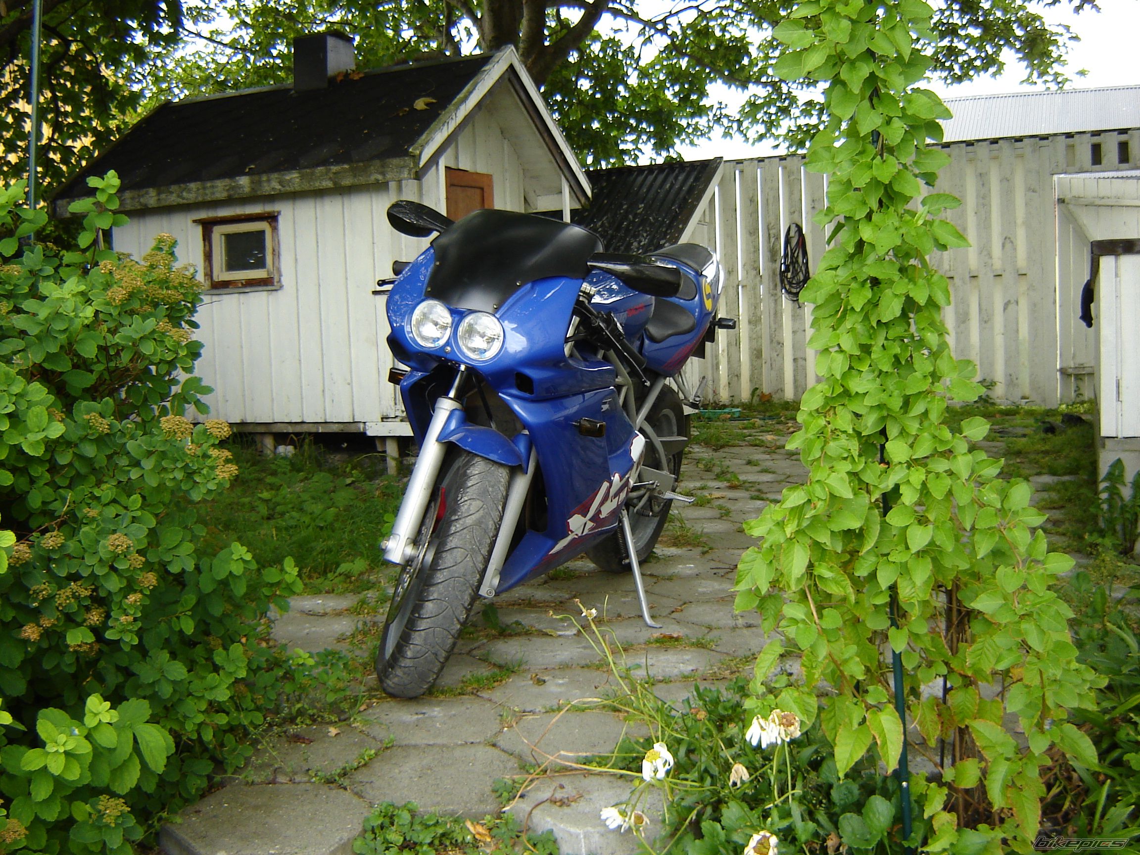 Photo 650077