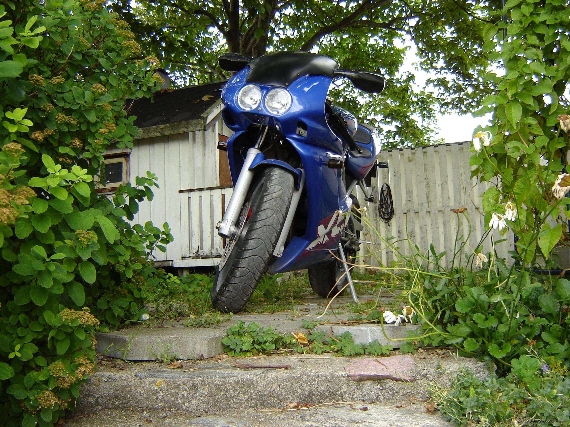 Photo 650078