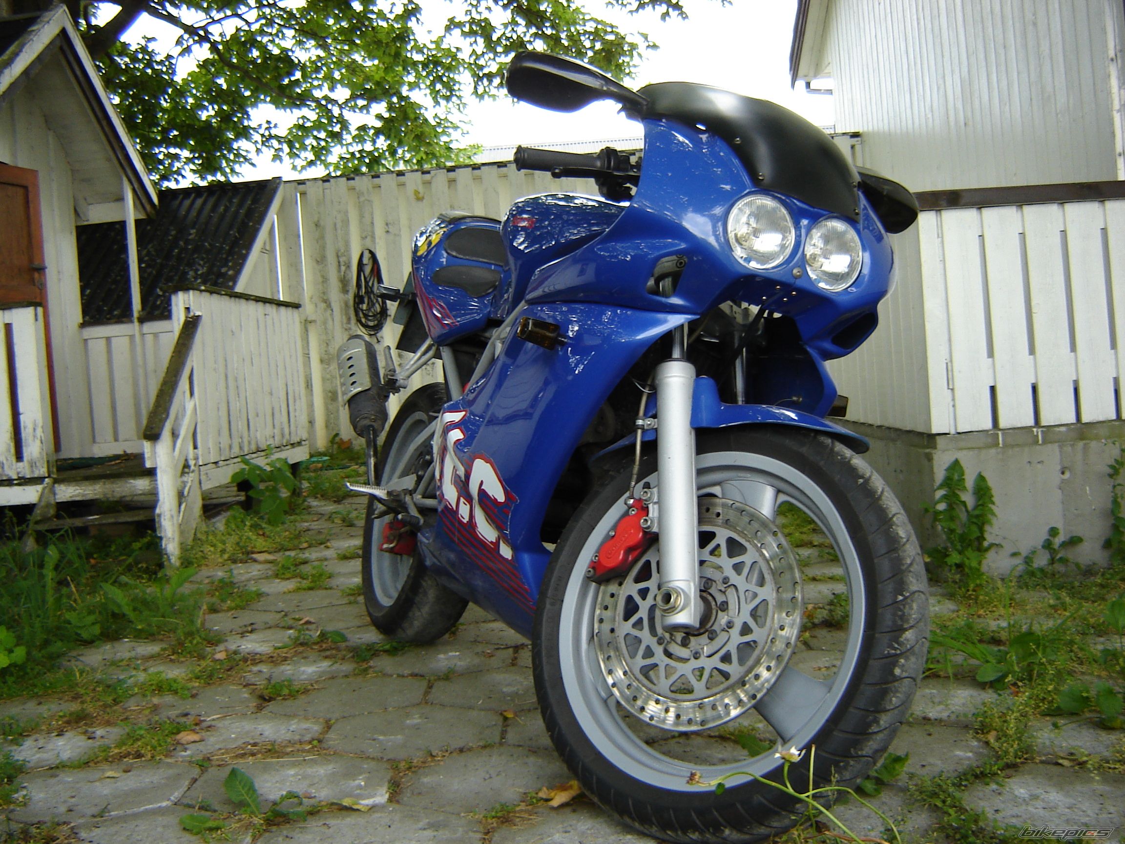 Photo 650081
