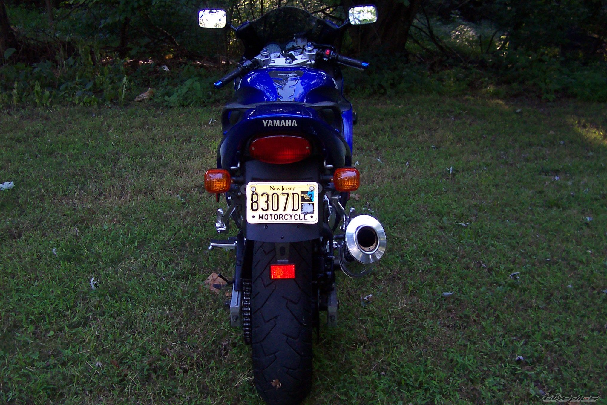Photo 650233