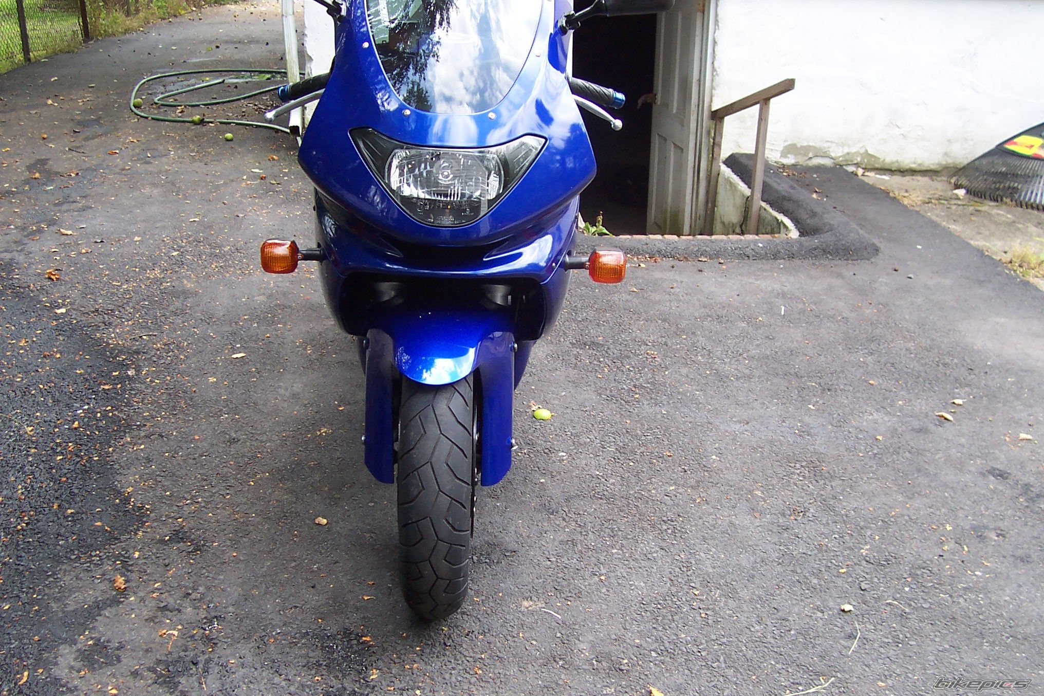 Photo 650268