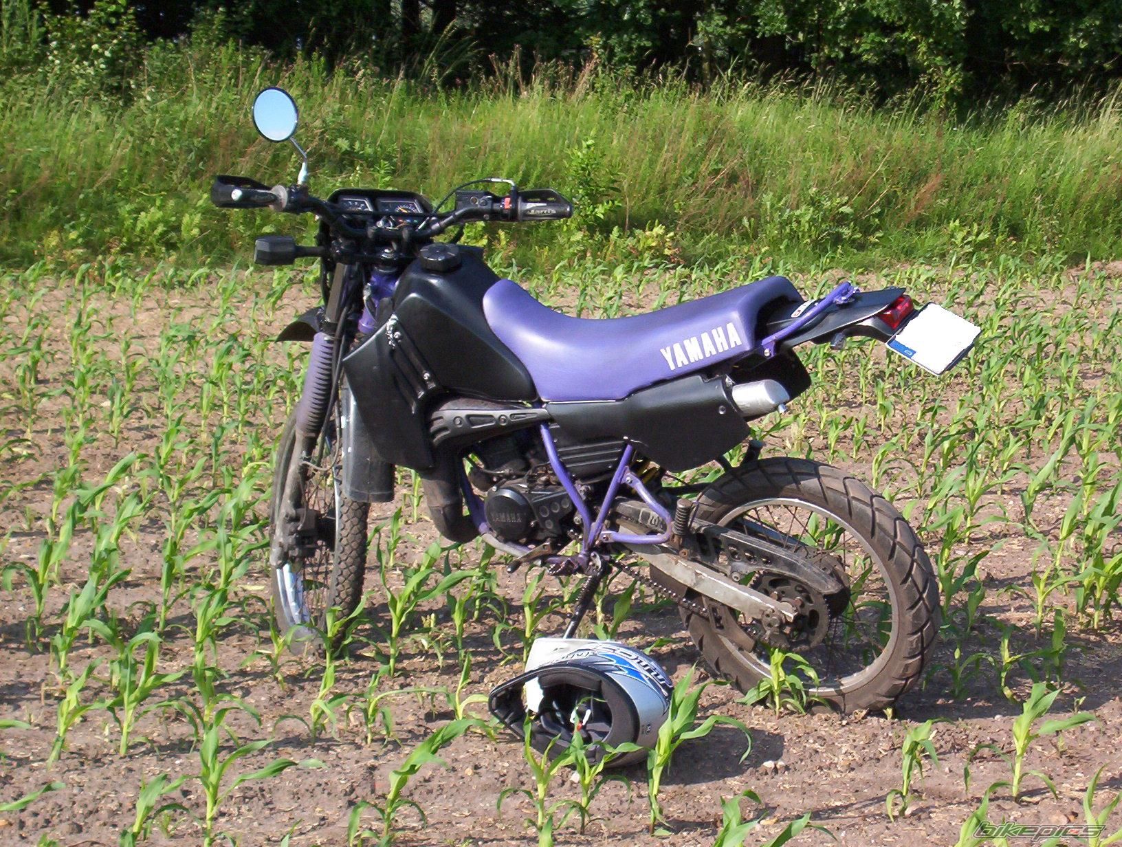 Bike Photo 650357