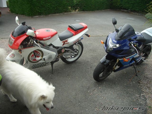 Bike Photo 650591