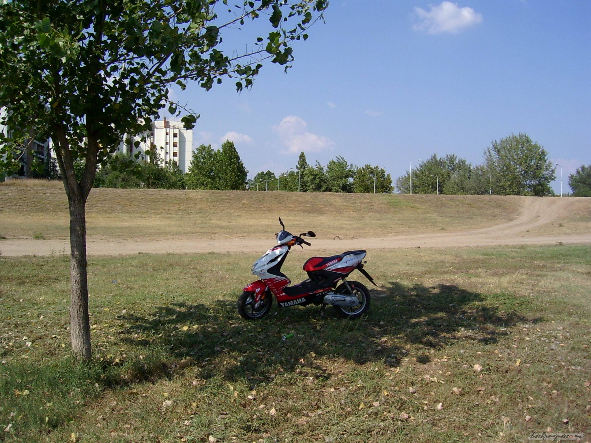Photo 65162