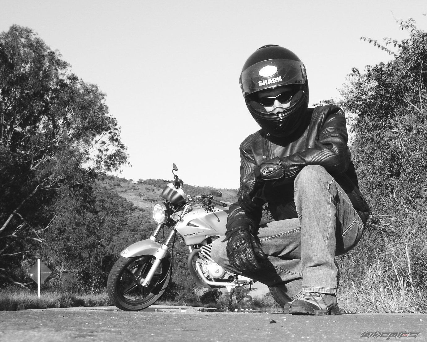 Photo 651685