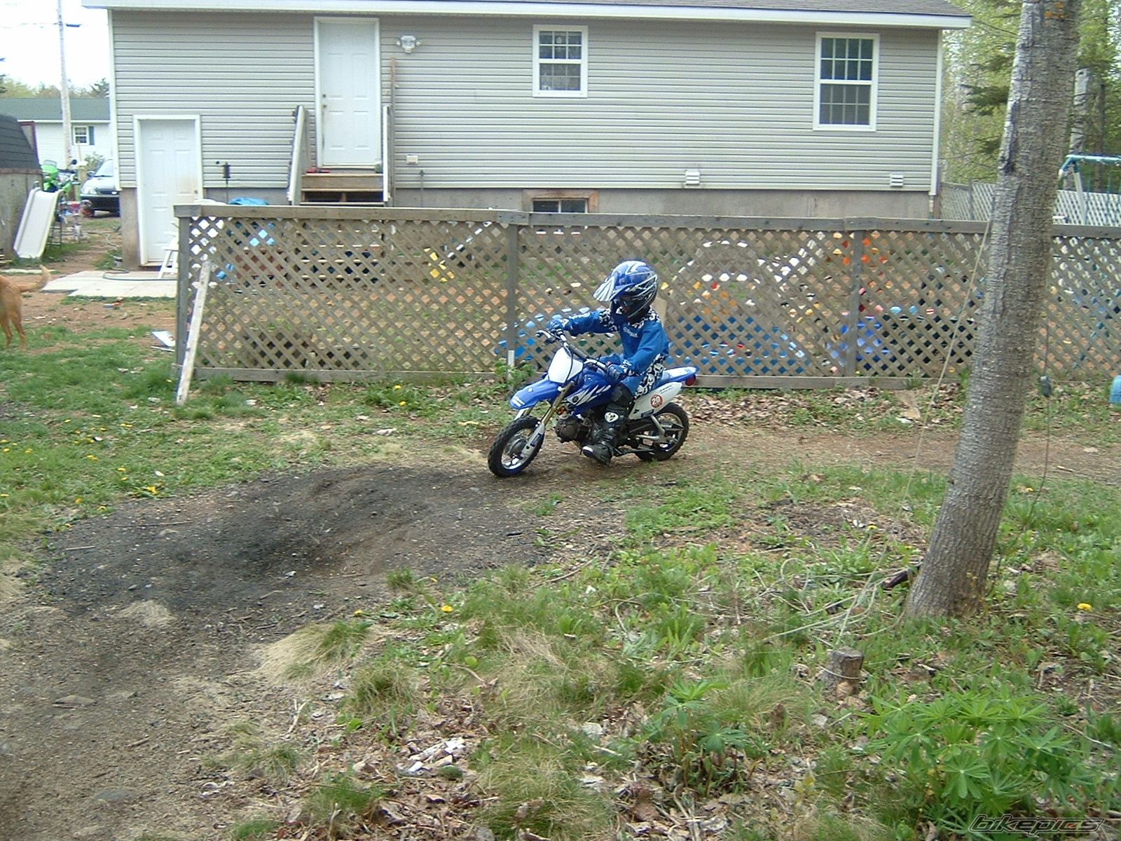 Photo 652473
