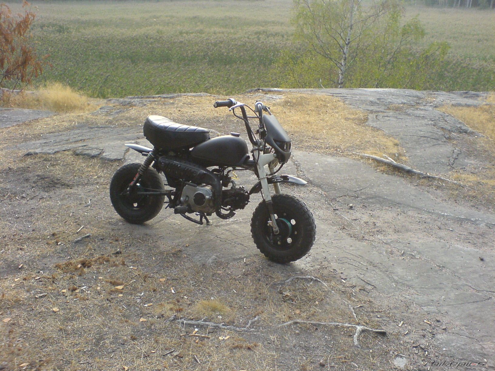Photo 652637