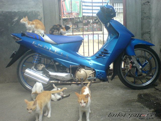 Photo 653243