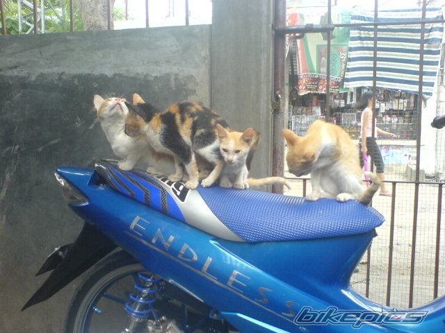 Photo 653246