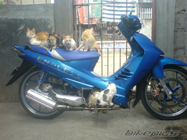 Photo 653248