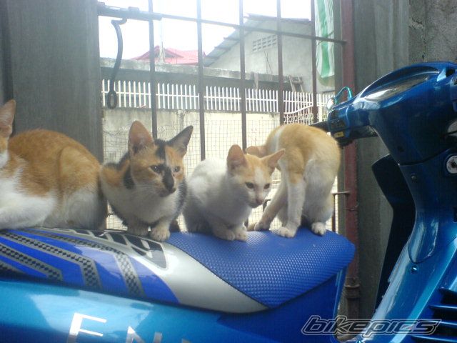 Photo 653250
