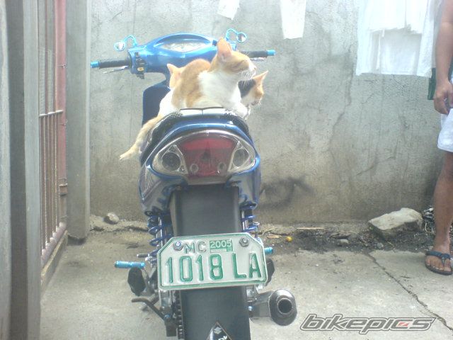 Photo 653252