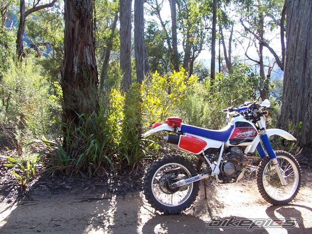 Bike Photo 654177