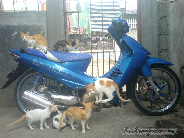 Bike Photo 654296