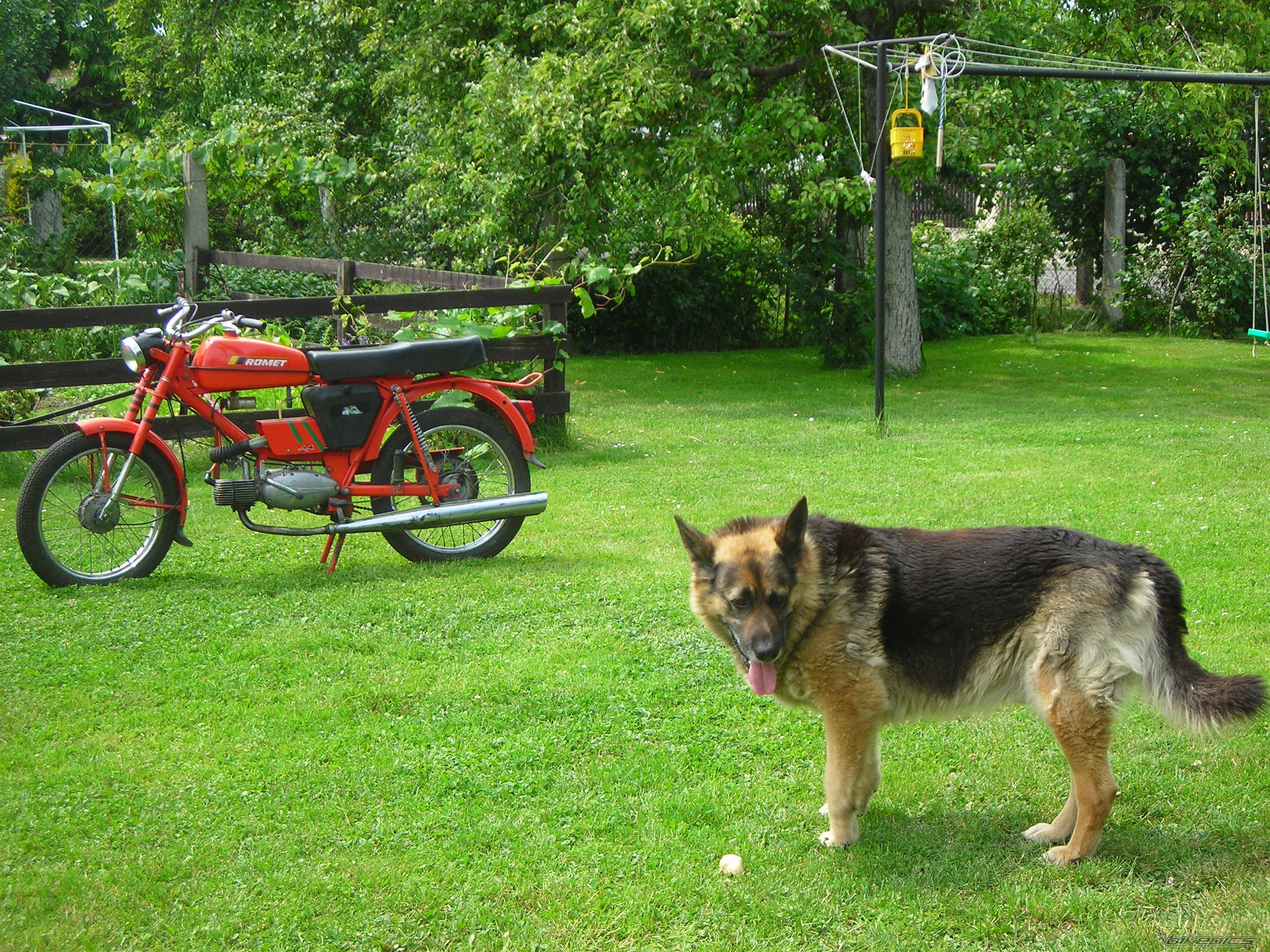 Photo 655082