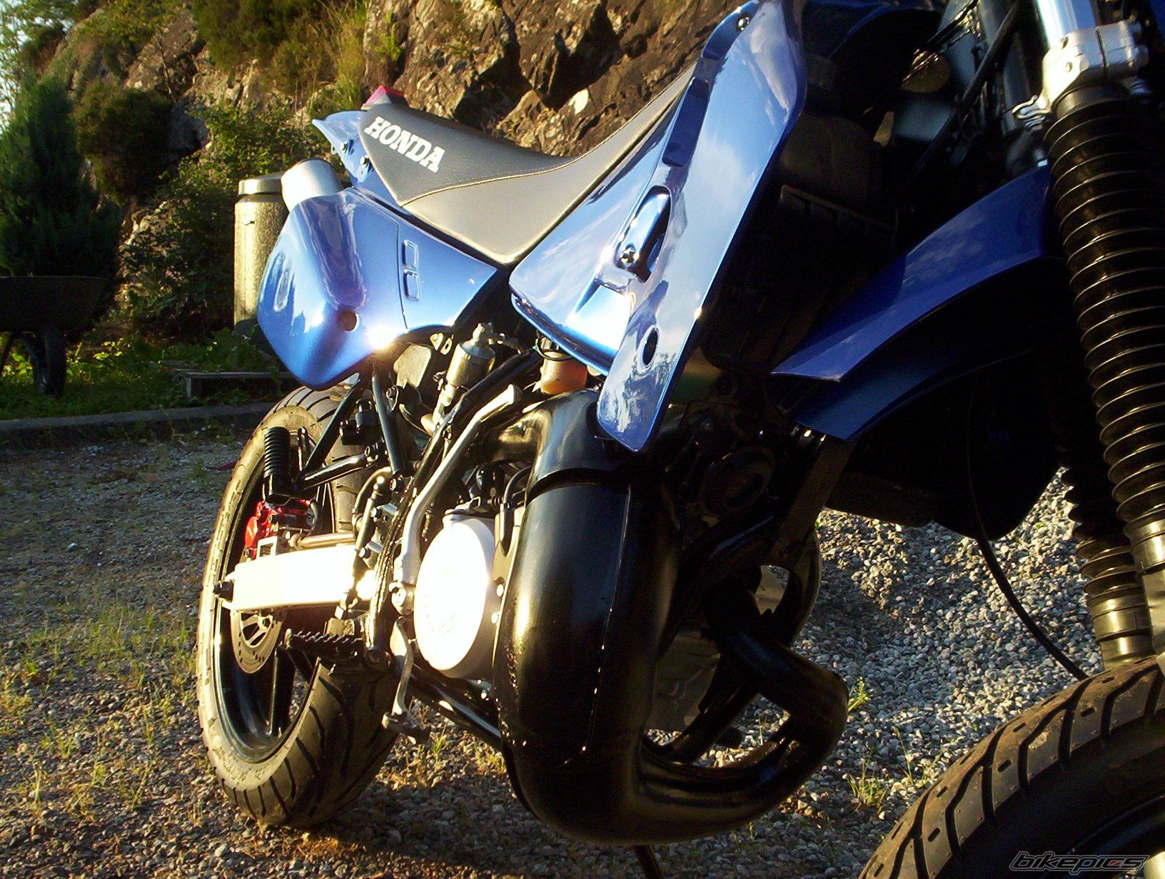 Photo 655437