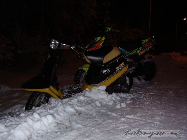 Photo 655558