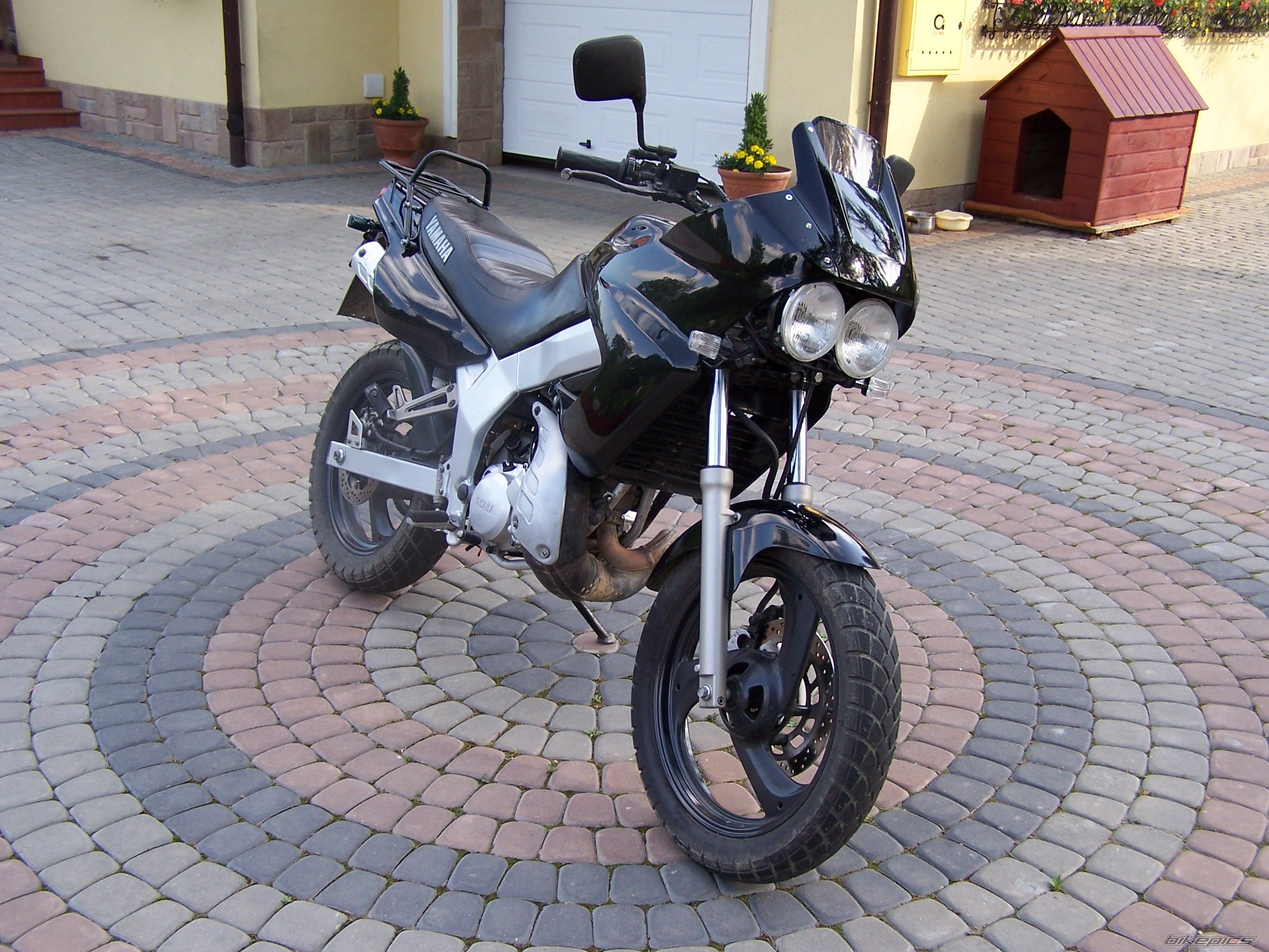 Photo 655852