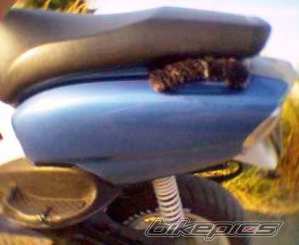 Bike Photo 656210