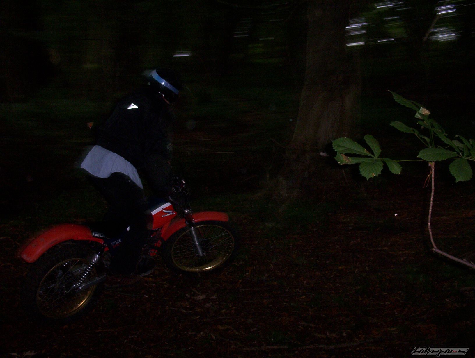 Photo 656309