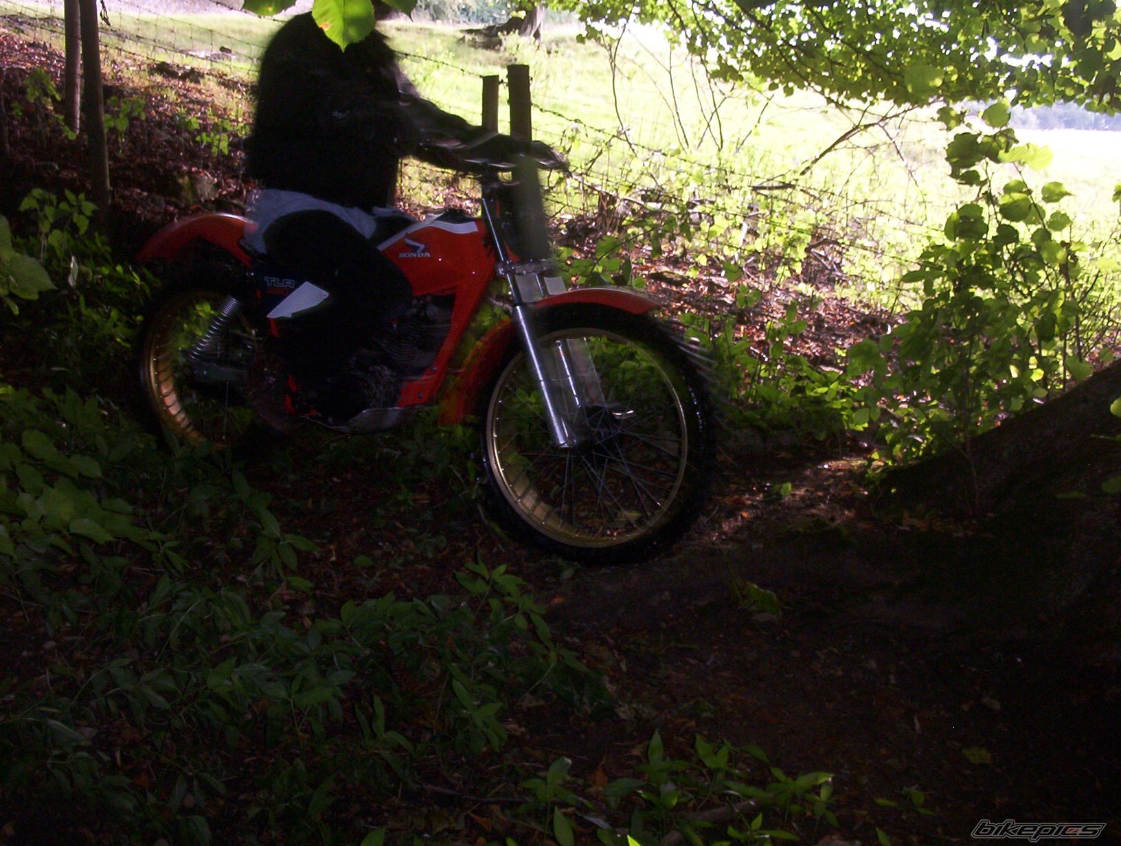 Photo 656518