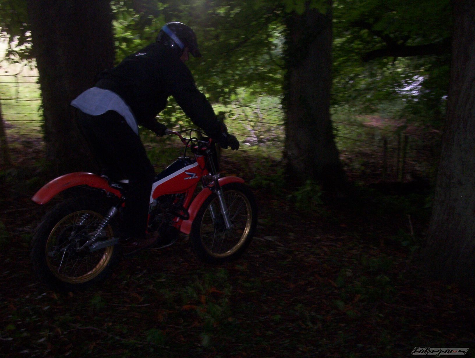 Photo 656519