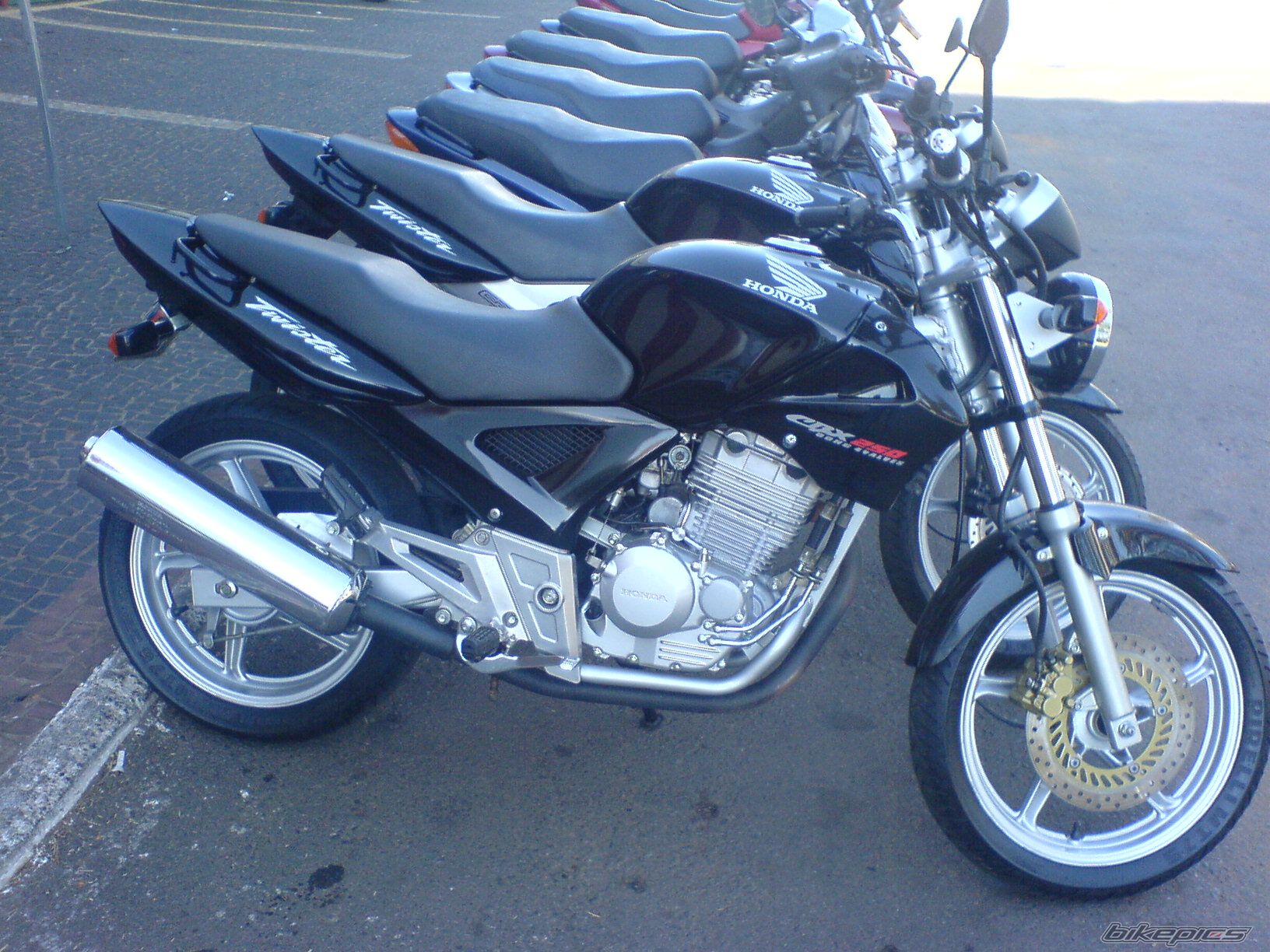 Photo 656566