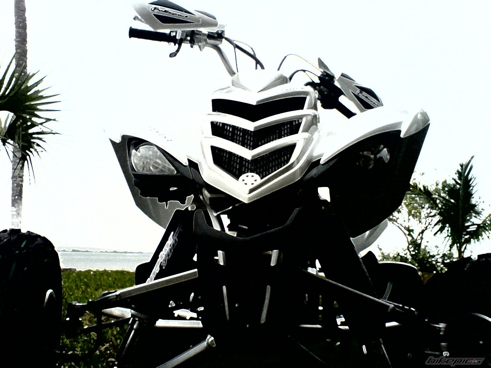 Photo 656622
