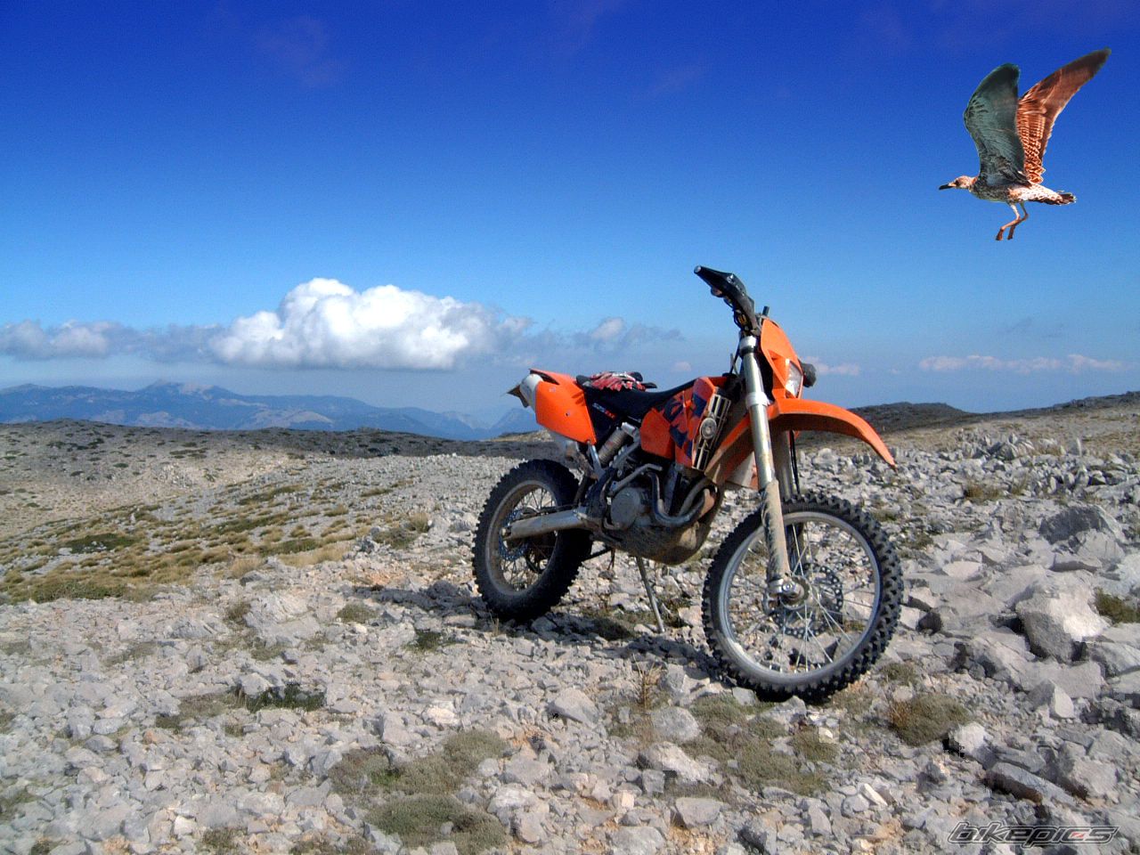 Bike Photo 656941