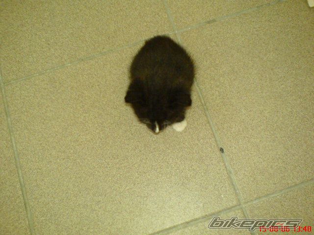 Photo 657049