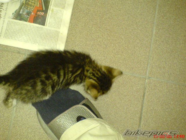Photo 657050