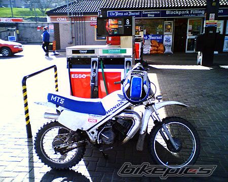 Photo 657248