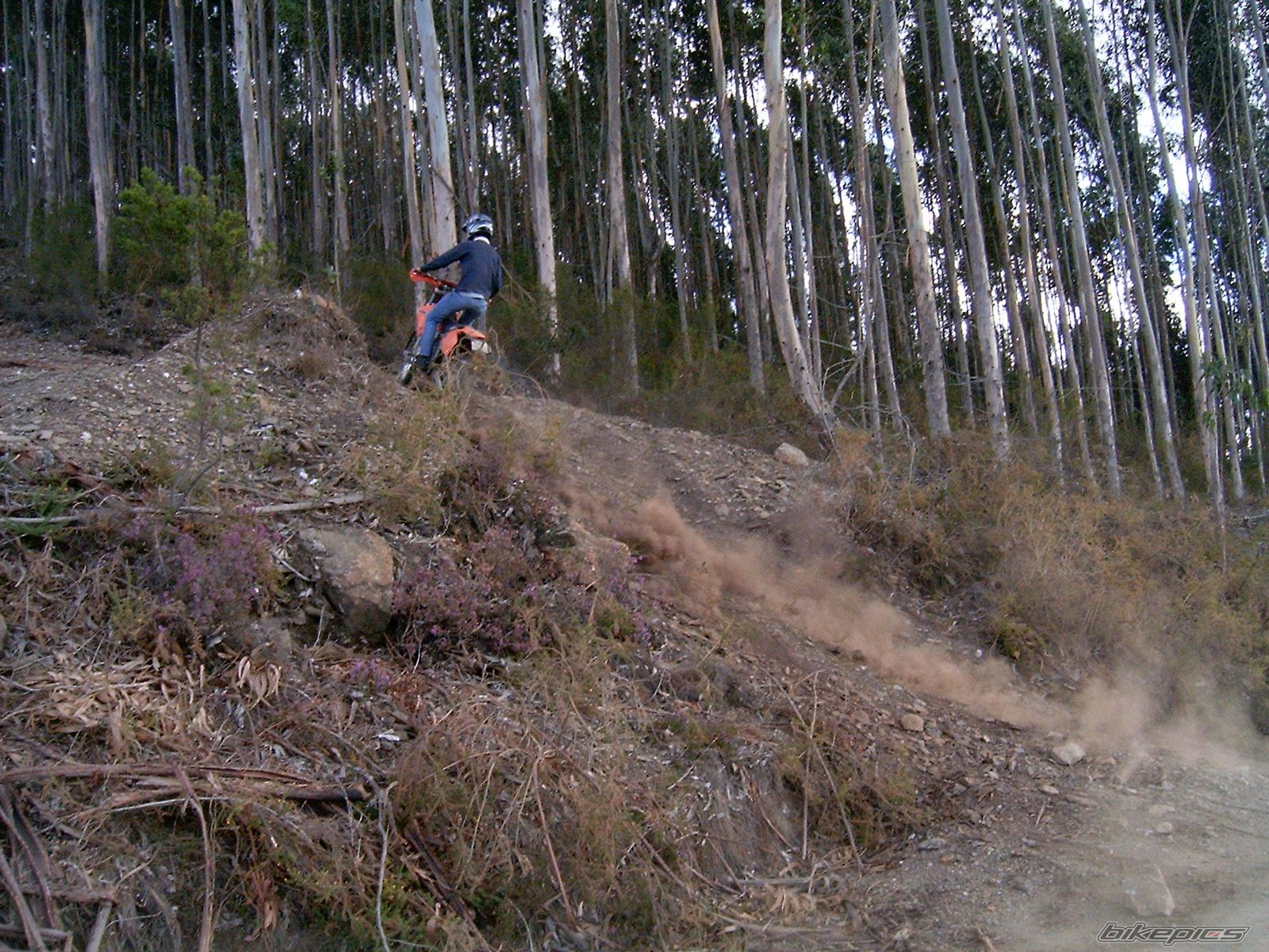 Bike Photo 657278