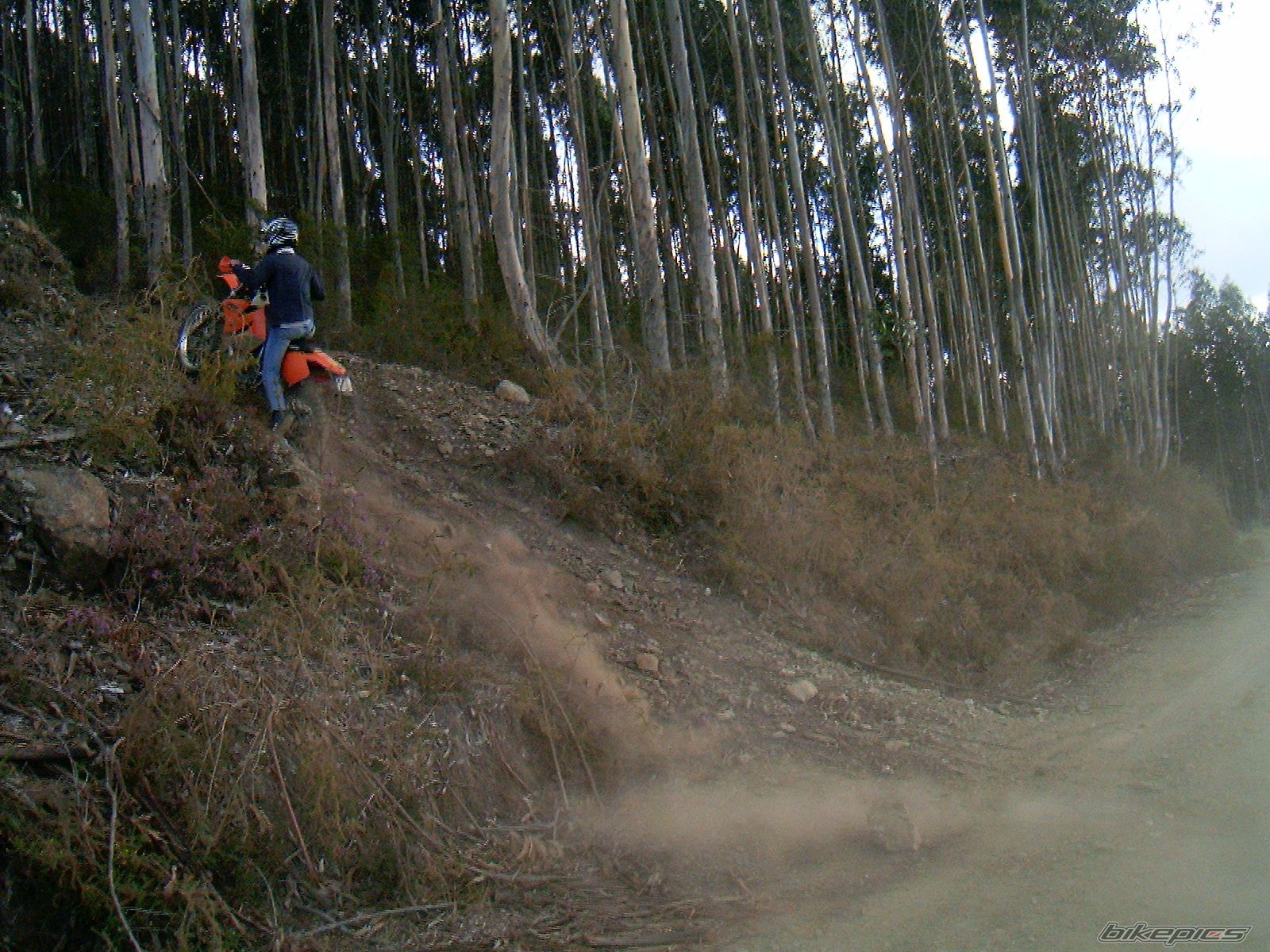 Bike Photo 657279