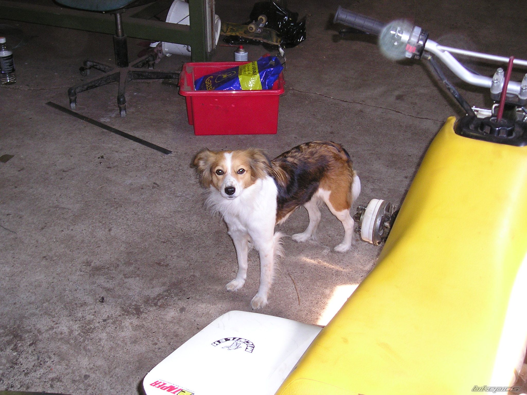 Photo 657549