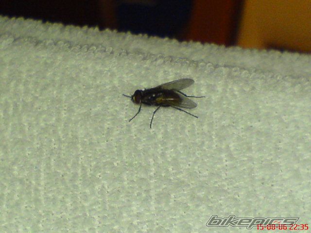 Photo 657777