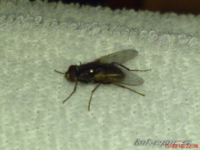 Photo 657779