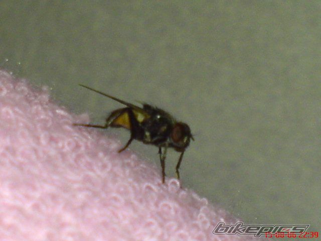 Photo 657780