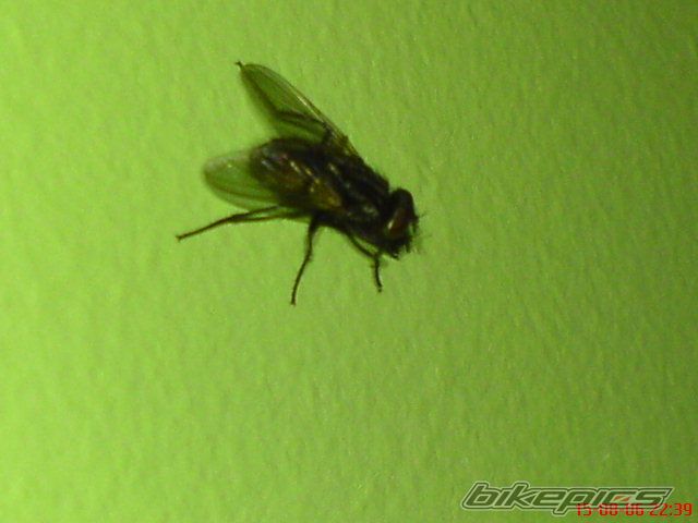 Photo 657782