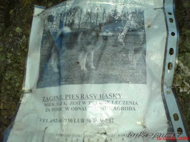 Photo 657893
