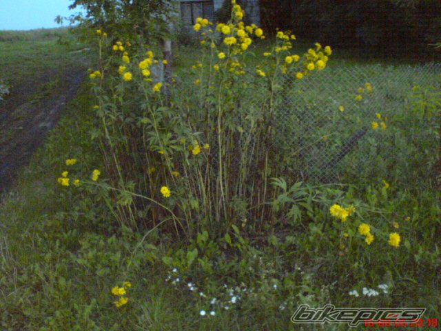 Photo 657899