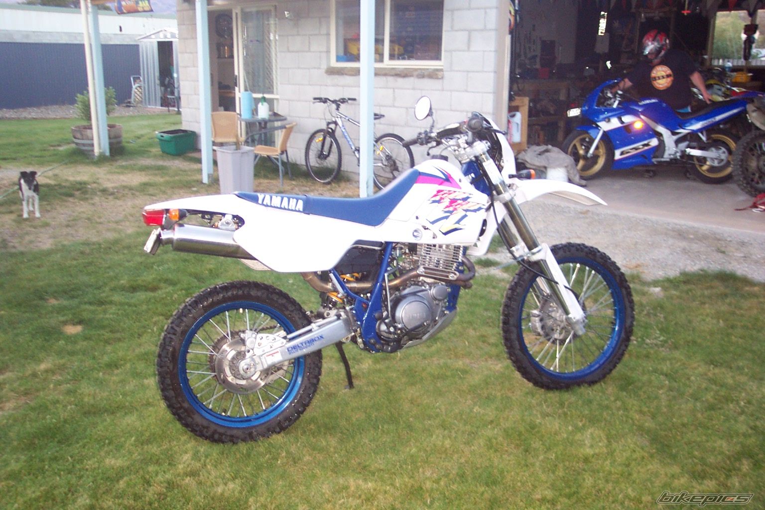 Bike Photo 658094