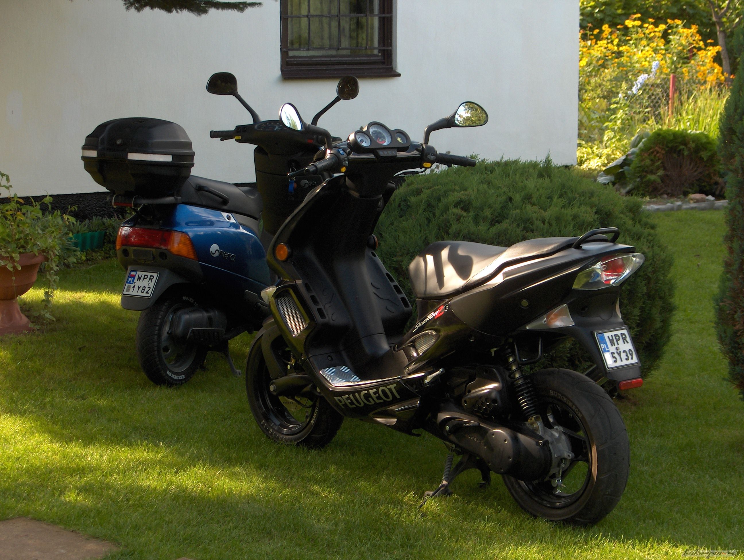 Photo 658374