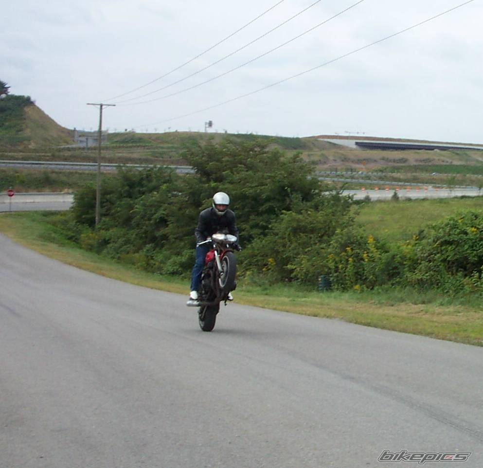 Photo 65849