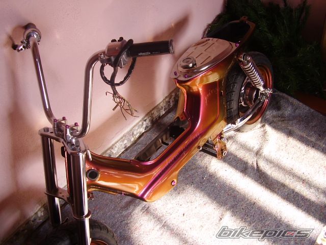 Photo 658809