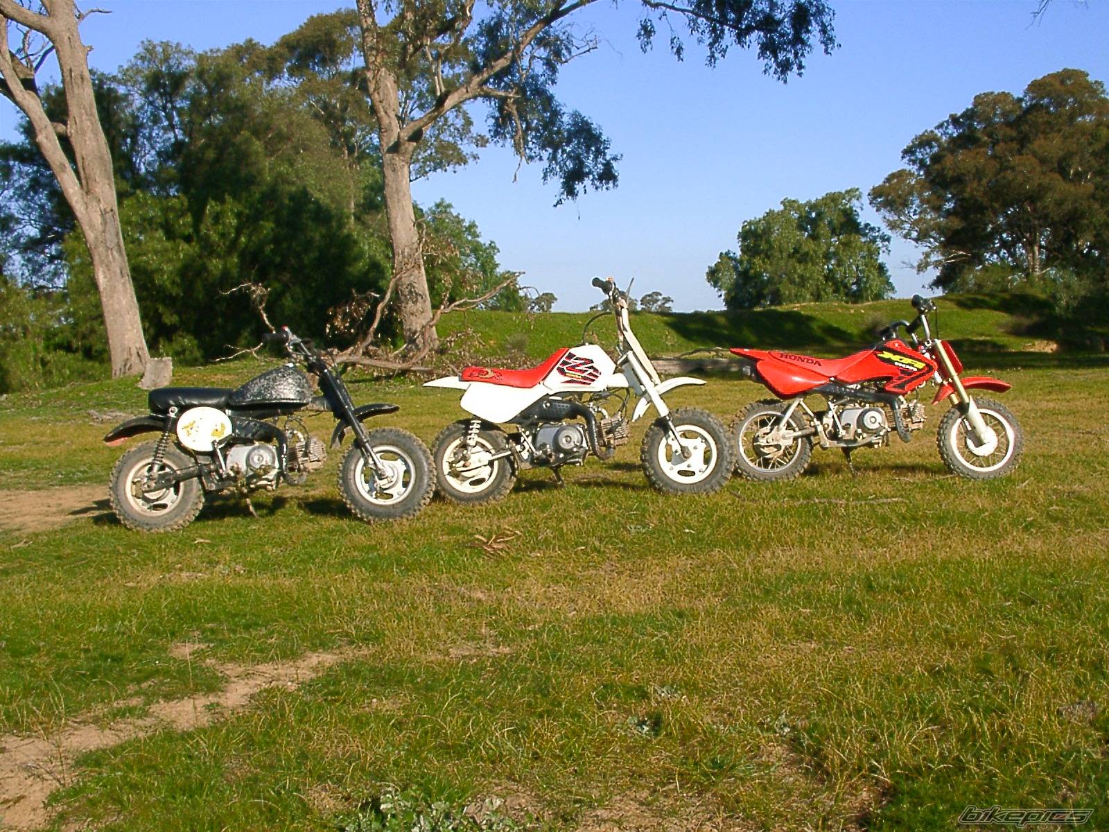 Bike Photo 65885